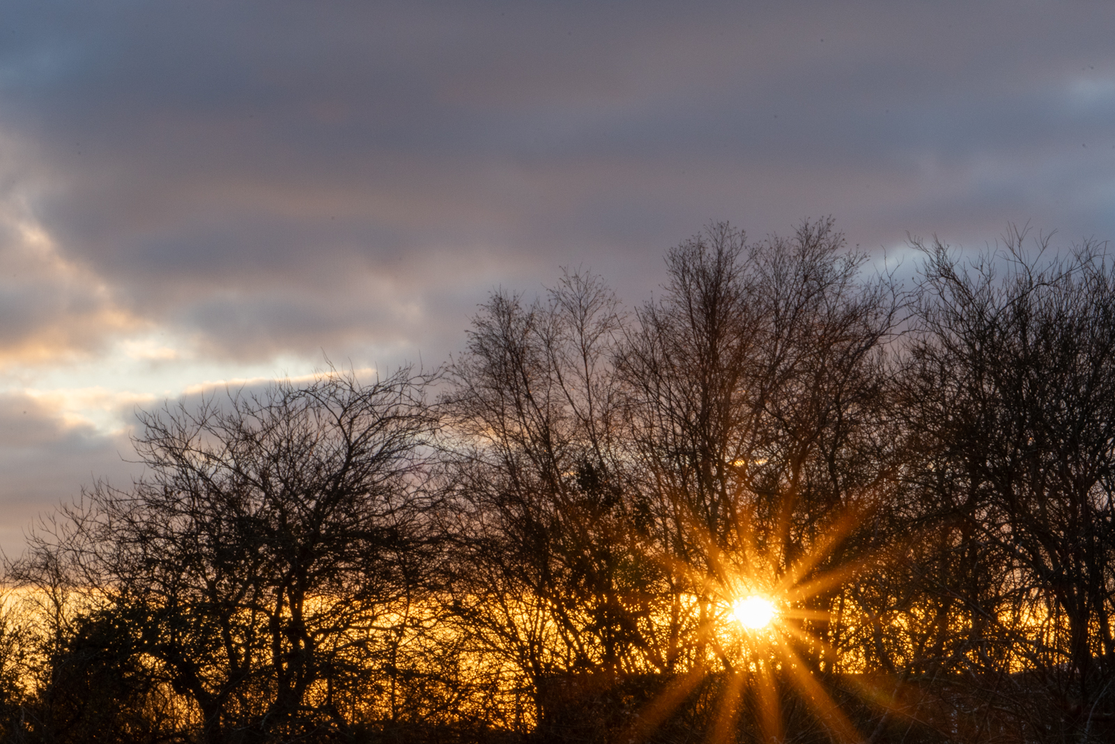 Photography by Chris Allington