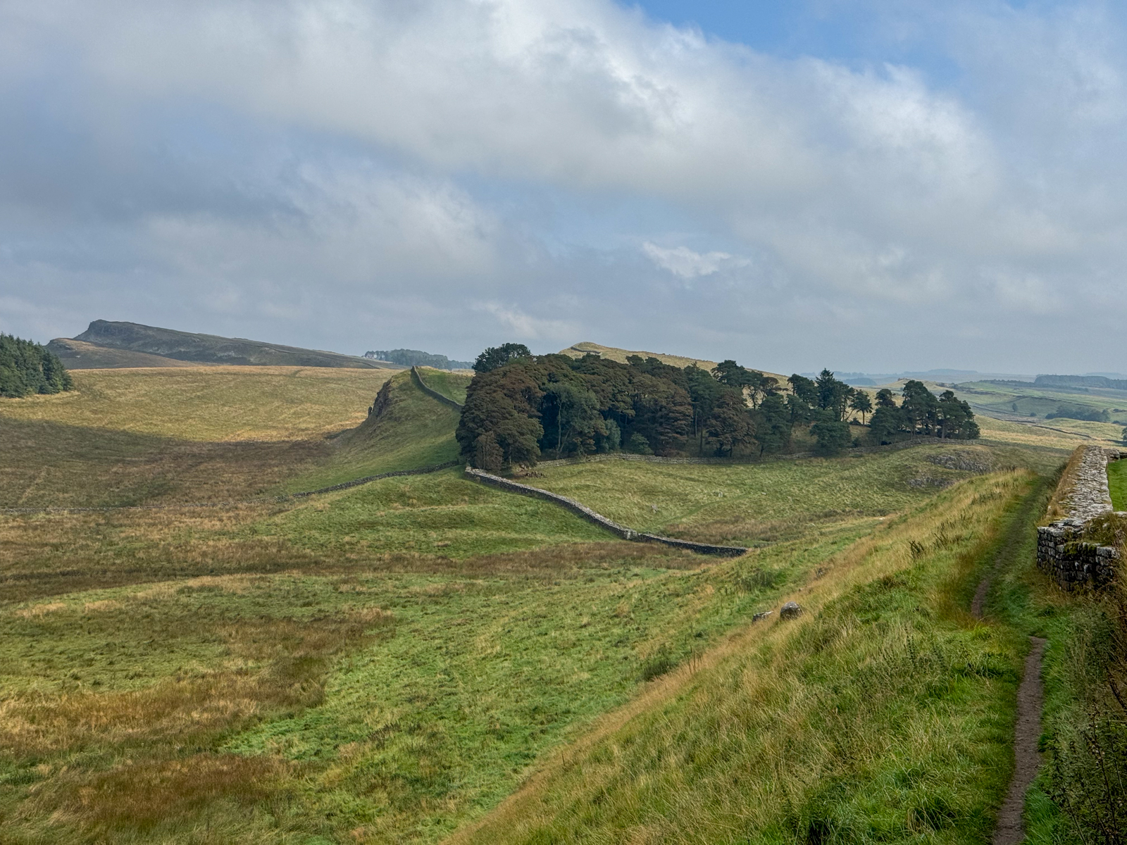 Photography by Chris Allington