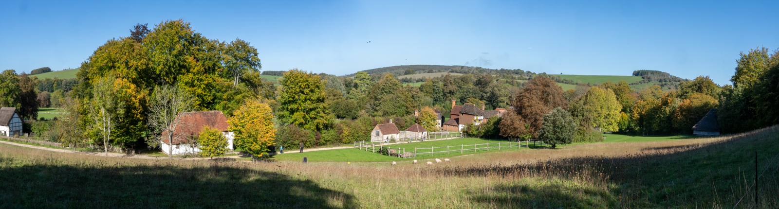Photography by Chris Allington