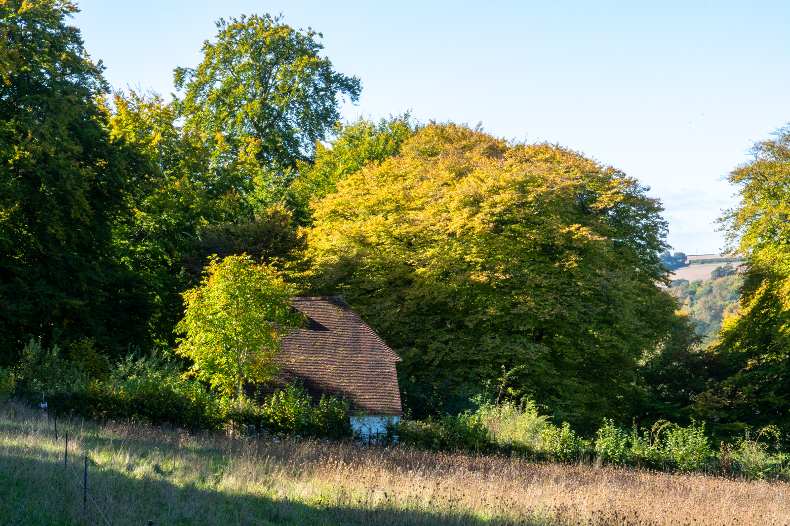 Photography by Chris Allington