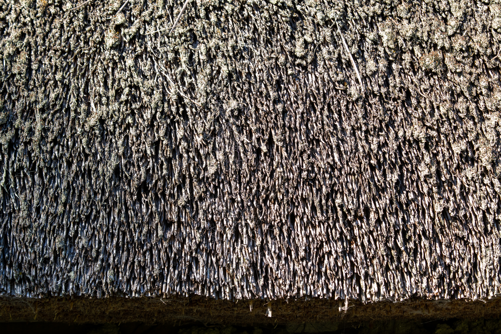 Photography by Chris Allington